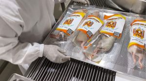 cuy-azuay-exportacion-estados-unidos