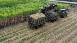 produccion-cana-de-azucar-mueve-econo_1425164_20240314162641