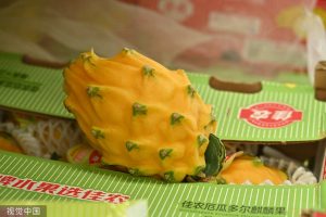 340968179_229306806439313_5418370831717238517_n