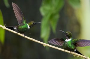 430040859_945497817578844_9095144255751572391_n