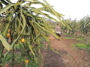 CTFWAG4O65AQZDUZWWK2MBN7JM