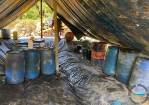 Imagen de WhatsApp 2024-07-01 a las 09.20.11_9410b0b4