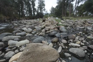 1-3A-CUATRO-COLES-XCA-1-scaled