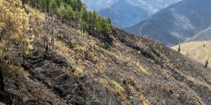 quilanga_1719467_20240829081619