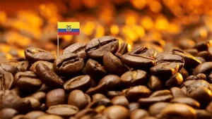 cafe-de-ecuador