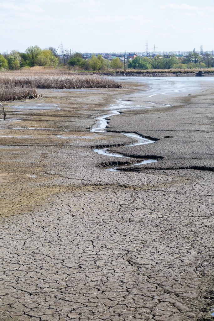 Dry lake, swamp and dry reeds. Dry reed over mirror water. Lake reflection in the water. Sunny weather. Blue sky. The global problem of drought in water bodies