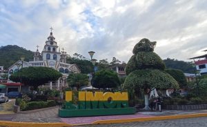 Limon 3