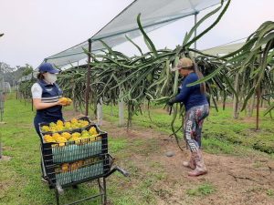 475464701_1028983269272379_7346966702191139023_n