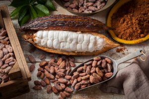 Cacao
