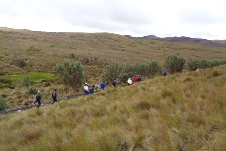 463909895_8345305872262020_8511751565641510210_n-768x512