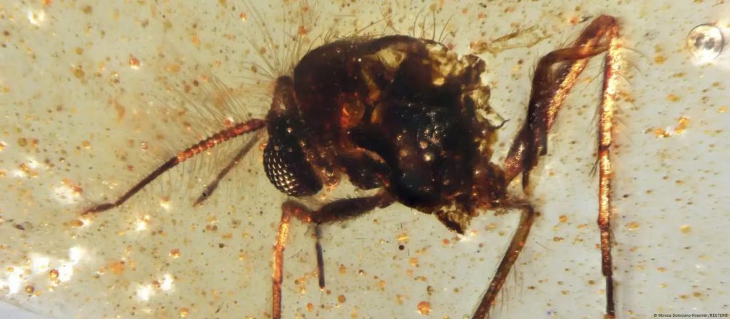 5PBD73ZCWRHUZG3IDEMN5ZIAPM