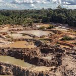 Ecuador: entre 2020 y 2024, se deforestó un área equivalente a la superficie de Luxemburgo