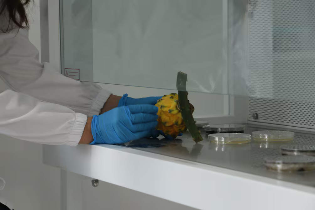 A6DEZHGEQZC6XORBR6Z4JVNTDU