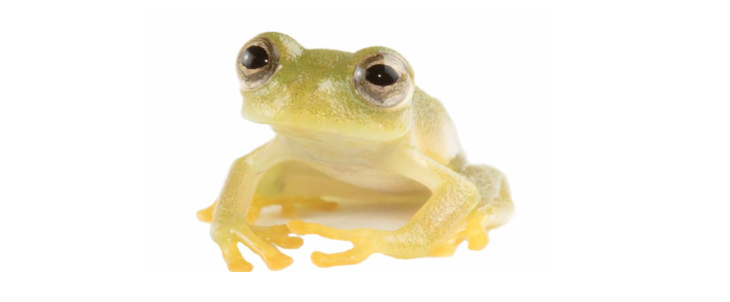 Captura de pantalla 2026-04-15 115509