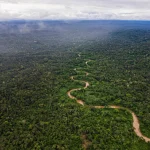 MARTINKINGMANDRON-MENEBAI_OWAP2022DJI_0086