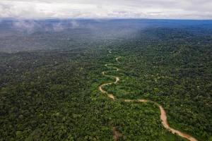 MARTINKINGMANDRON-MENEBAI_OWAP2022DJI_0086