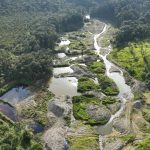Minería ocupa 111 hectáreas de áreas protegidas en el sur de Ecuador, según informe científico