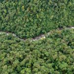 Llanganates-Sangay alberga 69 especies de pequeños mamíferos, el doble de las conocidas