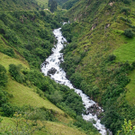 Rio