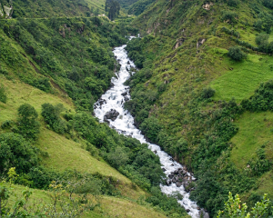 Rio