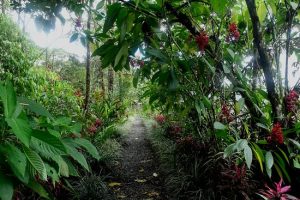la-entrada-a-la-finca